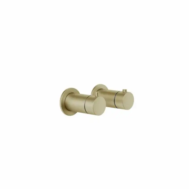 Gessi Ingranaggio Miscelatore Termostatico Doccia a Parete + Parte Incasso 63331+54169-Brass Brushed PVD