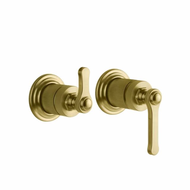 Gessi Venti20 Miscelatore a Parete Doccia 65038+54073-Gold Brushed PVD