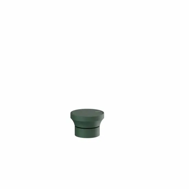 Gessi Origini Télécommande 66100-Agave Mat - Gessi